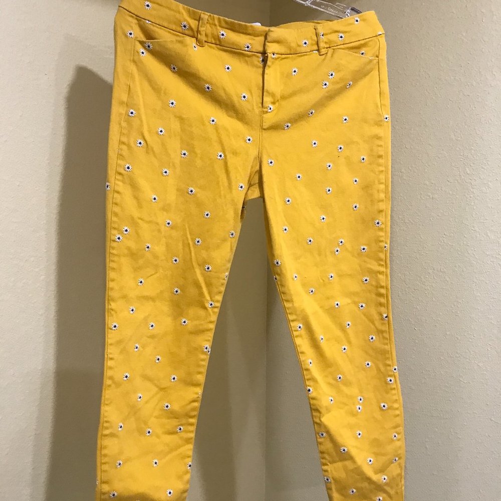 Old Navy, Pixie Pants with flower embroidery, Size 10